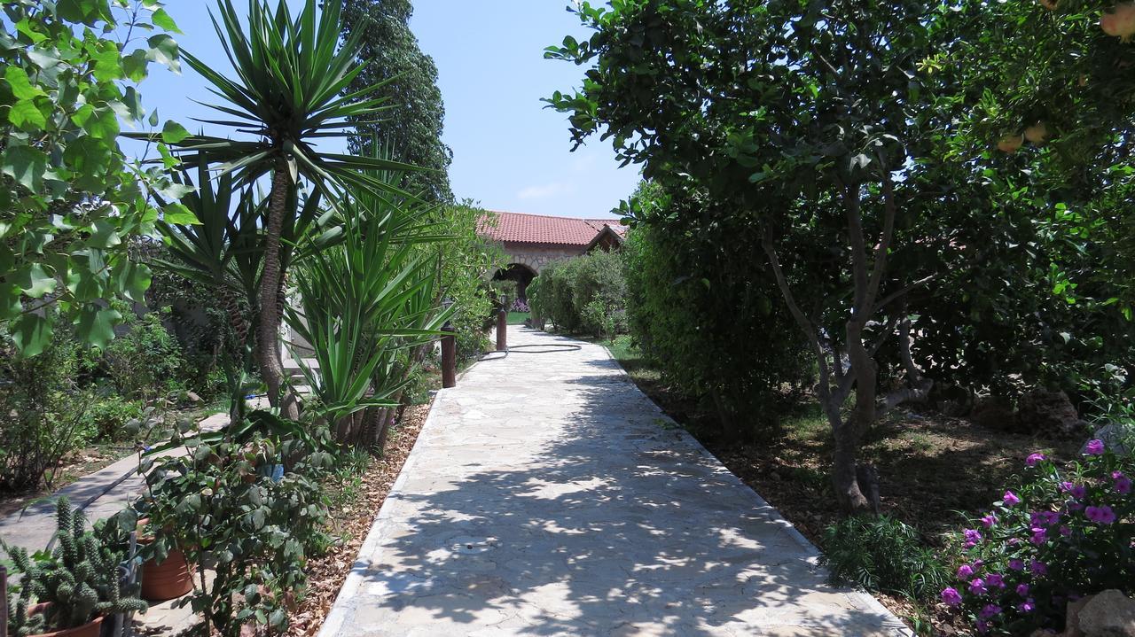 Elausa Hotel & Restaurant Rizokarpaso Экстерьер фото